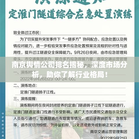 南京輿情公司排名揭秘，深度市場分析，助你了解行業(yè)格局！