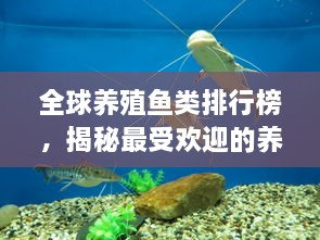 全球養(yǎng)殖魚類排行榜，揭秘最受歡迎的養(yǎng)殖魚類種類！