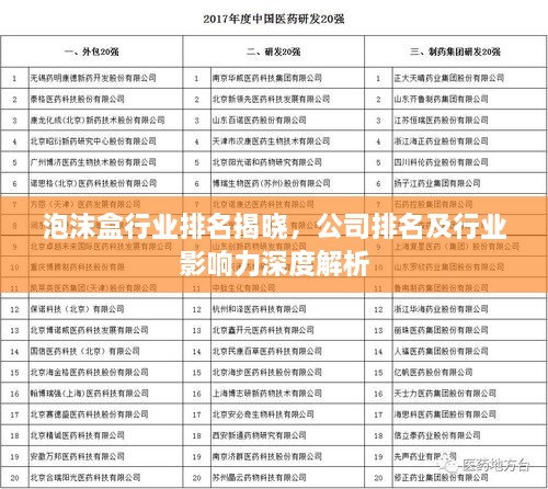 泡沫盒行業(yè)排名揭曉，公司排名及行業(yè)影響力深度解析