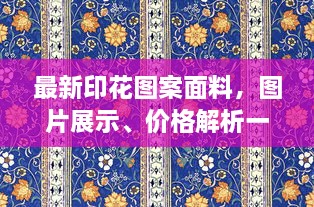 最新印花圖案面料，圖片展示、價格解析一網(wǎng)打盡