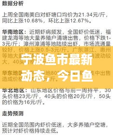 寧波魚(yú)市最新動(dòng)態(tài)，今日魚(yú)價(jià)、市場(chǎng)走勢(shì)及影響因素全解析