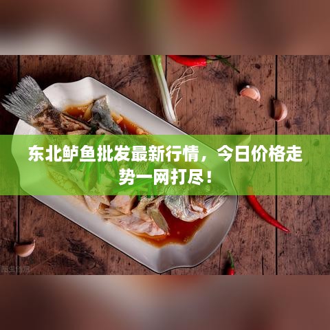 東北鱸魚(yú)批發(fā)最新行情，今日價(jià)格走勢(shì)一網(wǎng)打盡！