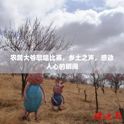 農(nóng)民大爺歌唱比賽，鄉(xiāng)土之聲，感動(dòng)人心的瞬間