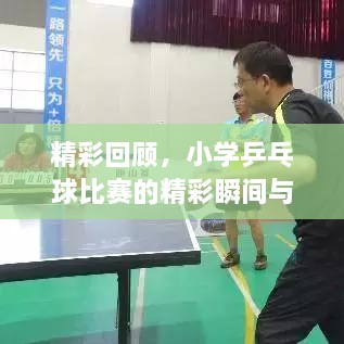 精彩回顧，小學(xué)乒乓球比賽的精彩瞬間與收獲總結(jié)