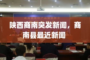 陜西商南突發(fā)新聞，商南縣最近新聞 
