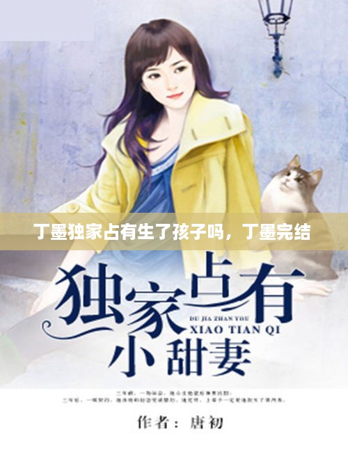 丁墨獨(dú)家占有生了孩子嗎，丁墨完結(jié) 