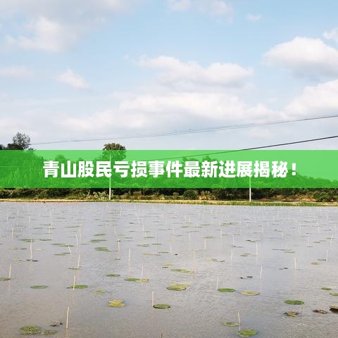 青山股民虧損事件最新進展揭秘！