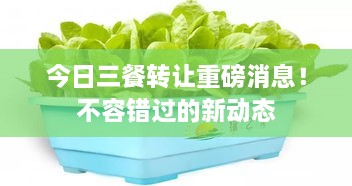 今日三餐轉(zhuǎn)讓重磅消息！不容錯(cuò)過的新動(dòng)態(tài)