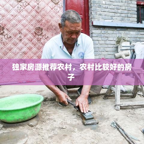 獨家房源推薦農(nóng)村，農(nóng)村比較好的房子 