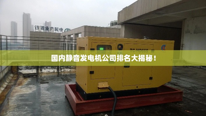 國內(nèi)靜音發(fā)電機公司排名大揭秘！