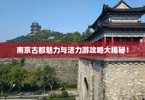 南京古都魅力與活力游攻略大揭秘！
