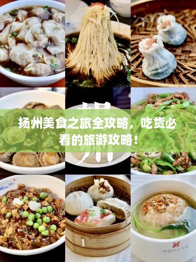 揚州美食之旅全攻略，吃貨必看的旅游攻略！