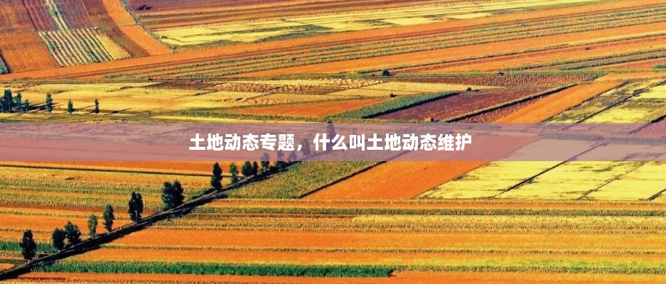 土地動態(tài)專題，什么叫土地動態(tài)維護 