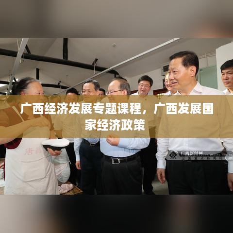 廣西經(jīng)濟發(fā)展專題課程，廣西發(fā)展國家經(jīng)濟政策 