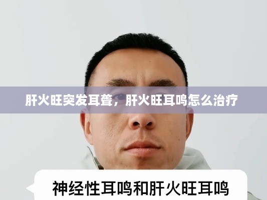 肝火旺突發(fā)耳聾，肝火旺耳鳴怎么治療 