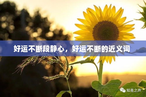 好運(yùn)不斷段靜心，好運(yùn)不斷的近義詞 