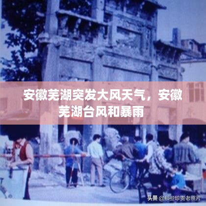 安徽蕪湖突發(fā)大風(fēng)天氣，安徽蕪湖臺(tái)風(fēng)和暴雨 