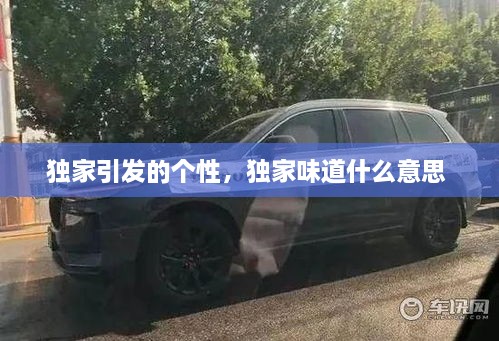 獨(dú)家引發(fā)的個性，獨(dú)家味道什么意思 