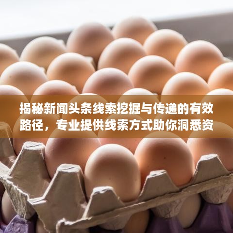 揭秘新聞頭條線索挖掘與傳遞的有效路徑，專業(yè)提供線索方式助你洞悉資訊動態(tài)