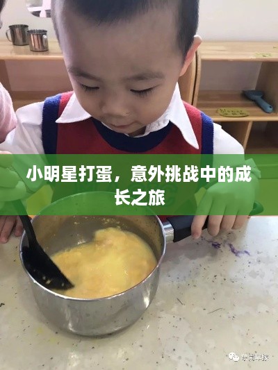 小明星打蛋，意外挑戰(zhàn)中的成長(zhǎng)之旅