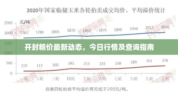 開(kāi)封糧價(jià)最新動(dòng)態(tài)，今日行情及查詢指南