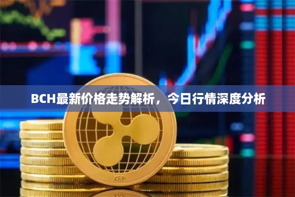 BCH最新價(jià)格走勢解析，今日行情深度分析