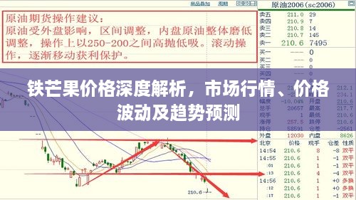 鐵芒果價(jià)格深度解析，市場(chǎng)行情、價(jià)格波動(dòng)及趨勢(shì)預(yù)測(cè)