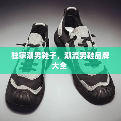 獨家潮男鞋子，潮流男鞋品牌大全 