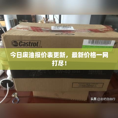 今日廢油報價表更新，最新價格一網打盡！