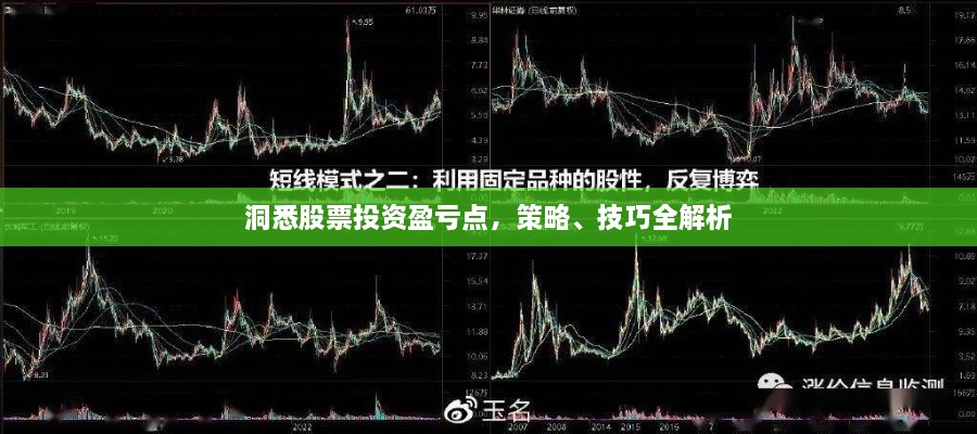 洞悉股票投資盈虧點(diǎn)，策略、技巧全解析