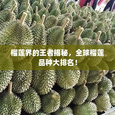 榴蓮界的王者揭秘，全球榴蓮品種大排名！