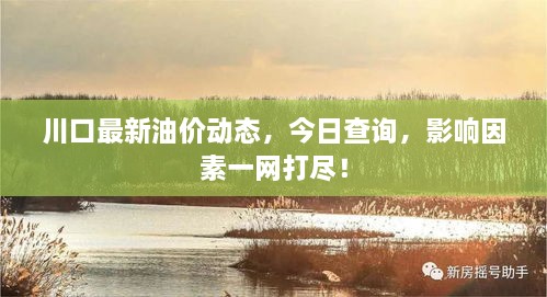 川口最新油價(jià)動(dòng)態(tài)，今日查詢，影響因素一網(wǎng)打盡！