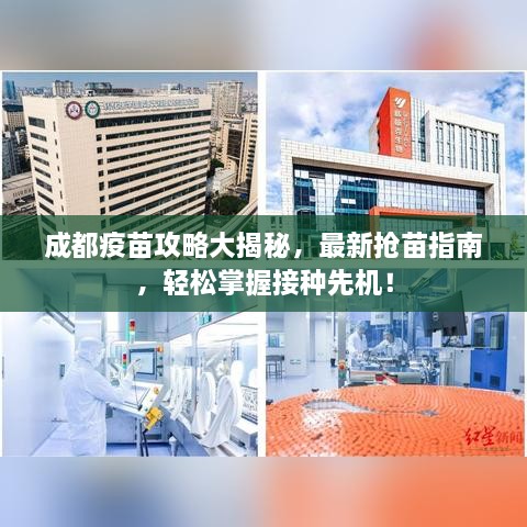 成都疫苗攻略大揭秘，最新?lián)屆缰改?，輕松掌握接種先機！