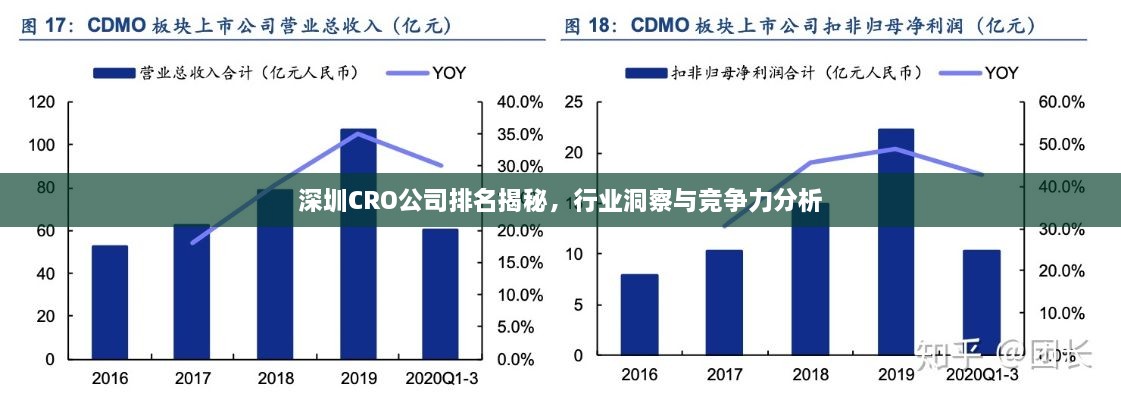 深圳CRO公司排名揭秘，行業(yè)洞察與競爭力分析