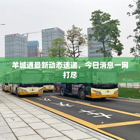 羊城通最新動態(tài)速遞，今日消息一網(wǎng)打盡