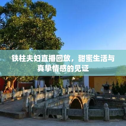 鐵柱夫婦直播回放，甜蜜生活與真摯情感的見證