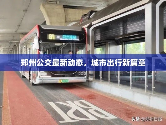 鄭州公交最新動態(tài)，城市出行新篇章