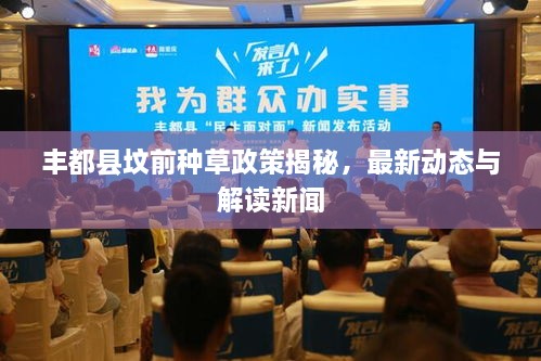 豐都縣墳前種草政策揭秘，最新動態(tài)與解讀新聞
