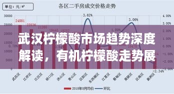 武漢檸檬酸市場趨勢深度解讀，有機檸檬酸走勢展望