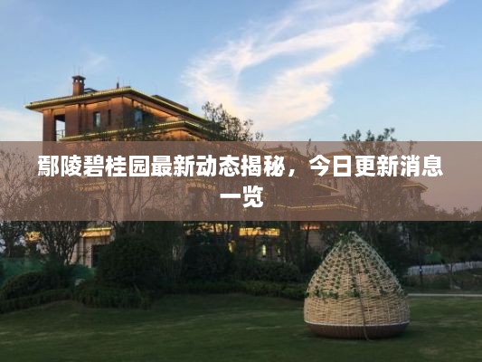 鄢陵碧桂園最新動態(tài)揭秘，今日更新消息一覽