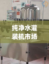 純凈水灌裝機(jī)市場走勢(shì)解析，最新行情深度探討