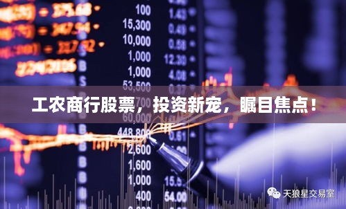 工農(nóng)商行股票，投資新寵，矚目焦點(diǎn)！