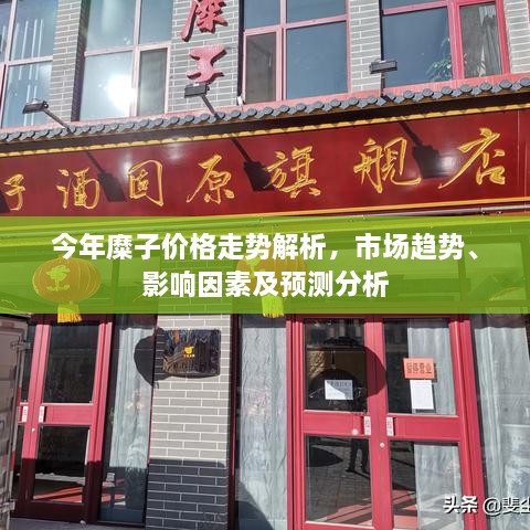 今年糜子價格走勢解析，市場趨勢、影響因素及預(yù)測分析