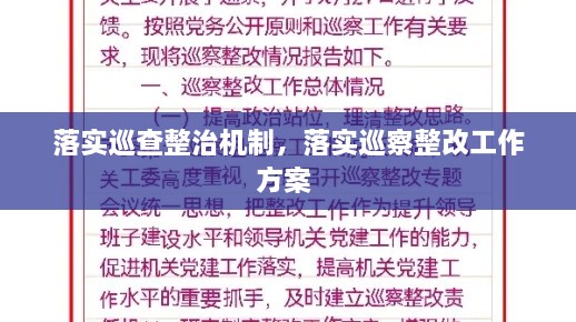 落實(shí)巡查整治機(jī)制，落實(shí)巡察整改工作方案 