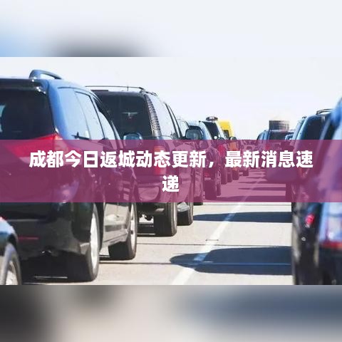 成都今日返城動態(tài)更新，最新消息速遞
