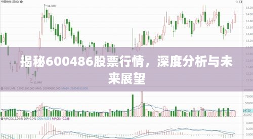 揭秘600486股票行情，深度分析與未來(lái)展望