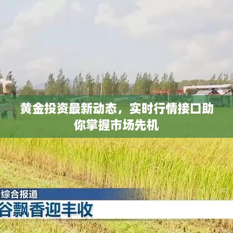 黃金投資最新動(dòng)態(tài)，實(shí)時(shí)行情接口助你掌握市場(chǎng)先機(jī)