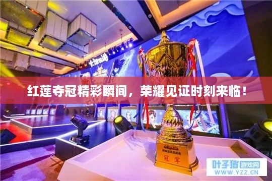 紅蓮?qiáng)Z冠精彩瞬間，榮耀見(jiàn)證時(shí)刻來(lái)臨！