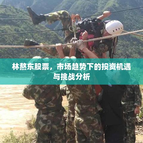林熬東股票，市場趨勢下的投資機遇與挑戰(zhàn)分析