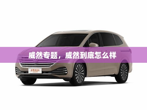 威然專題，威然到底怎么樣 